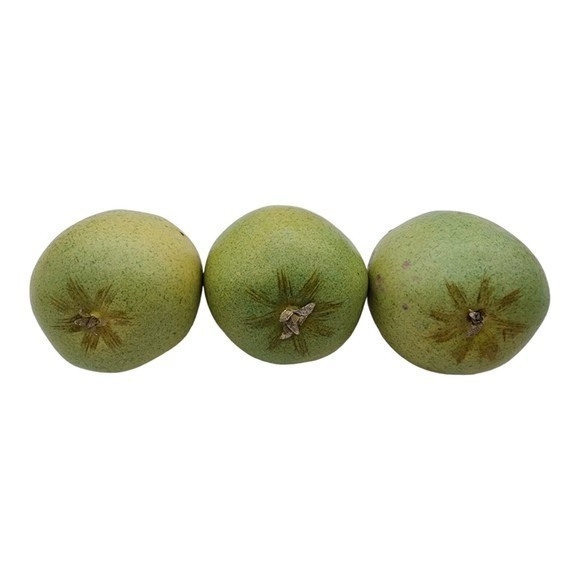 Mixed Vintage Faux Fruit Plastic Artificial Fake Display Home Décor Crafts Lot 7 - Picture 2 of 7